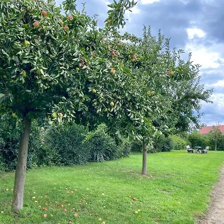 Casa vacanze Familienhaus Wiesengefluester W11 - Kinderfreundlich Und Nur 300 M Zum
