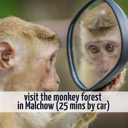 Familienhaus Wiesengefluester W11 - Kinderfreundlich Und Nur 300 M Zum *