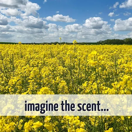 Casa vacanze Familienhaus Wiesengefluester W11 - Kinderfreundlich Und Nur 300 M Zum Röbel